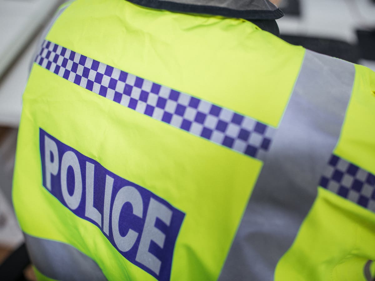 Dorset Police finally shut down illegal Easter Sunday rave after 21 hours