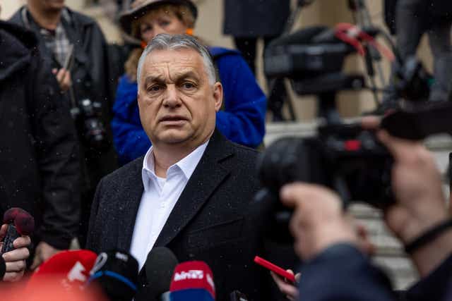 <p>The Fidesz party, led by Orbán, advocates the traditional, Christian nuclear family</p>