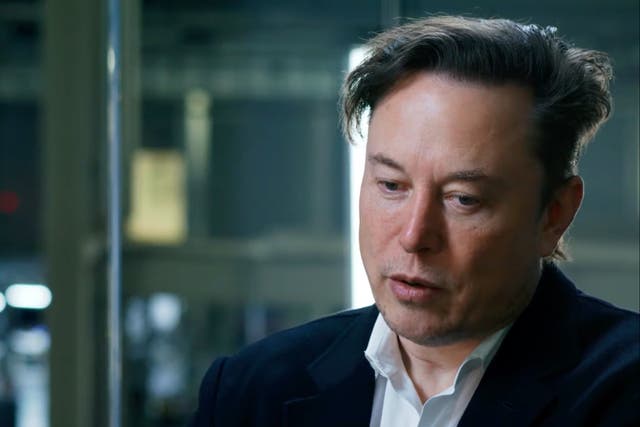 <p>Elon Musk talking with TED in an interview published on Monday</p>