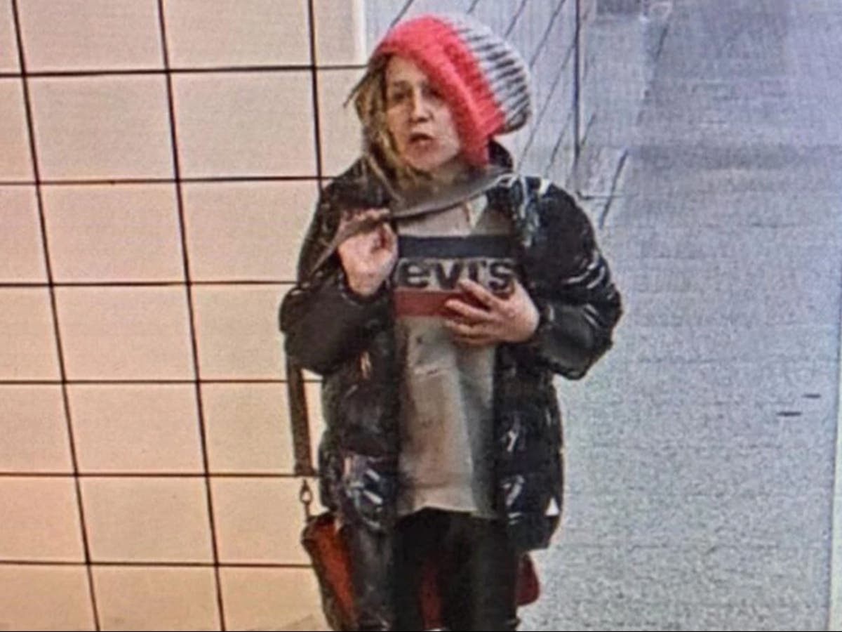 Toronto police searching for woman who allegedly shoved subway rider onto tracks Toronto police searching for woman who allegedly shoved subway rider onto tracks