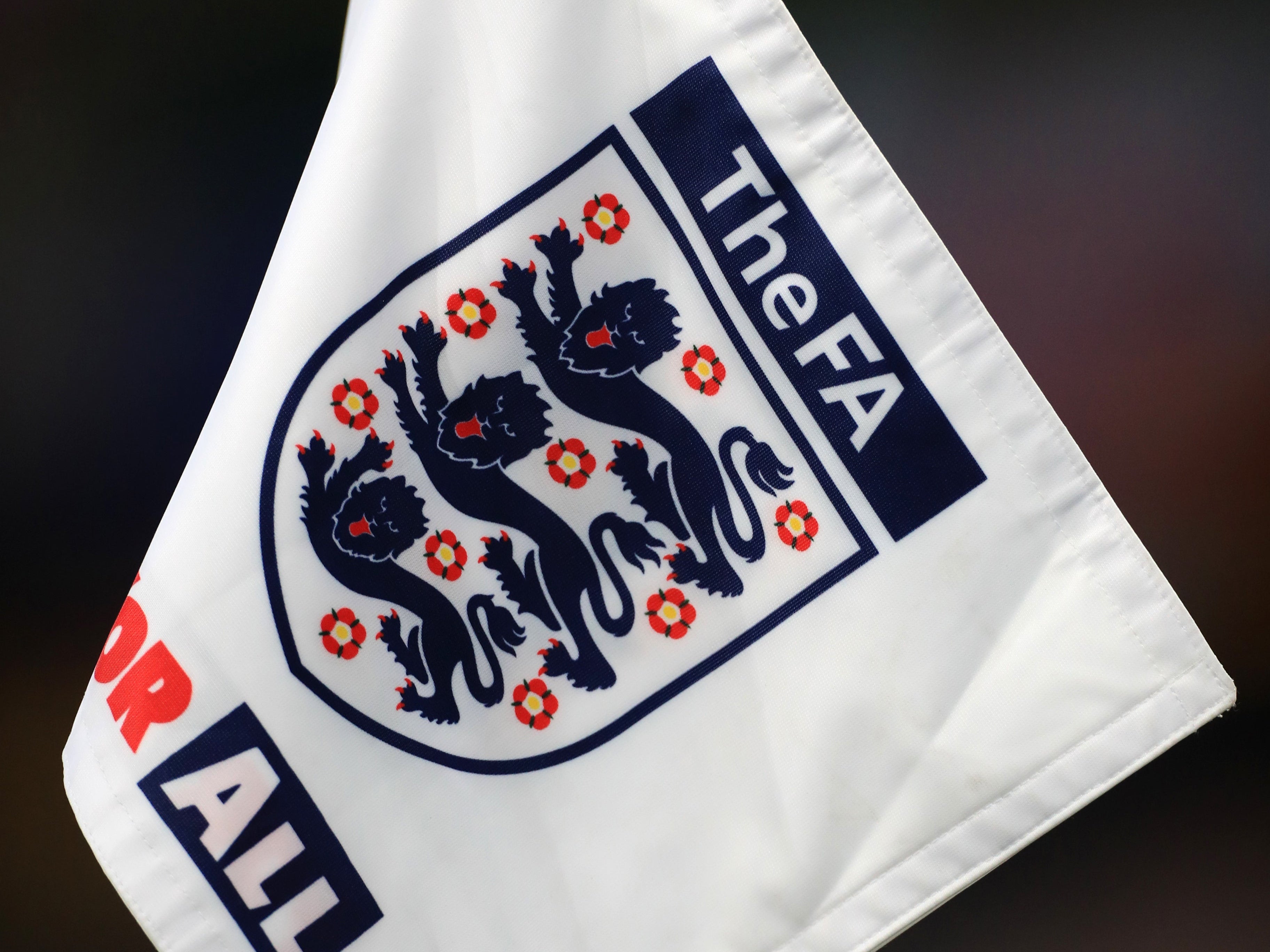 FA, Premier League and EFL welcome tougher legislation to tackle online ...