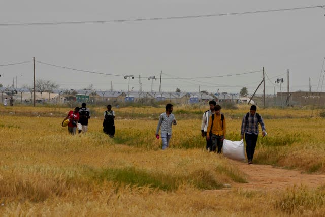 Migration Cyprus