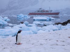 Antarctic sea ice hits lowest recorded level