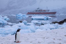 Antarctic sea ice hits lowest recorded level