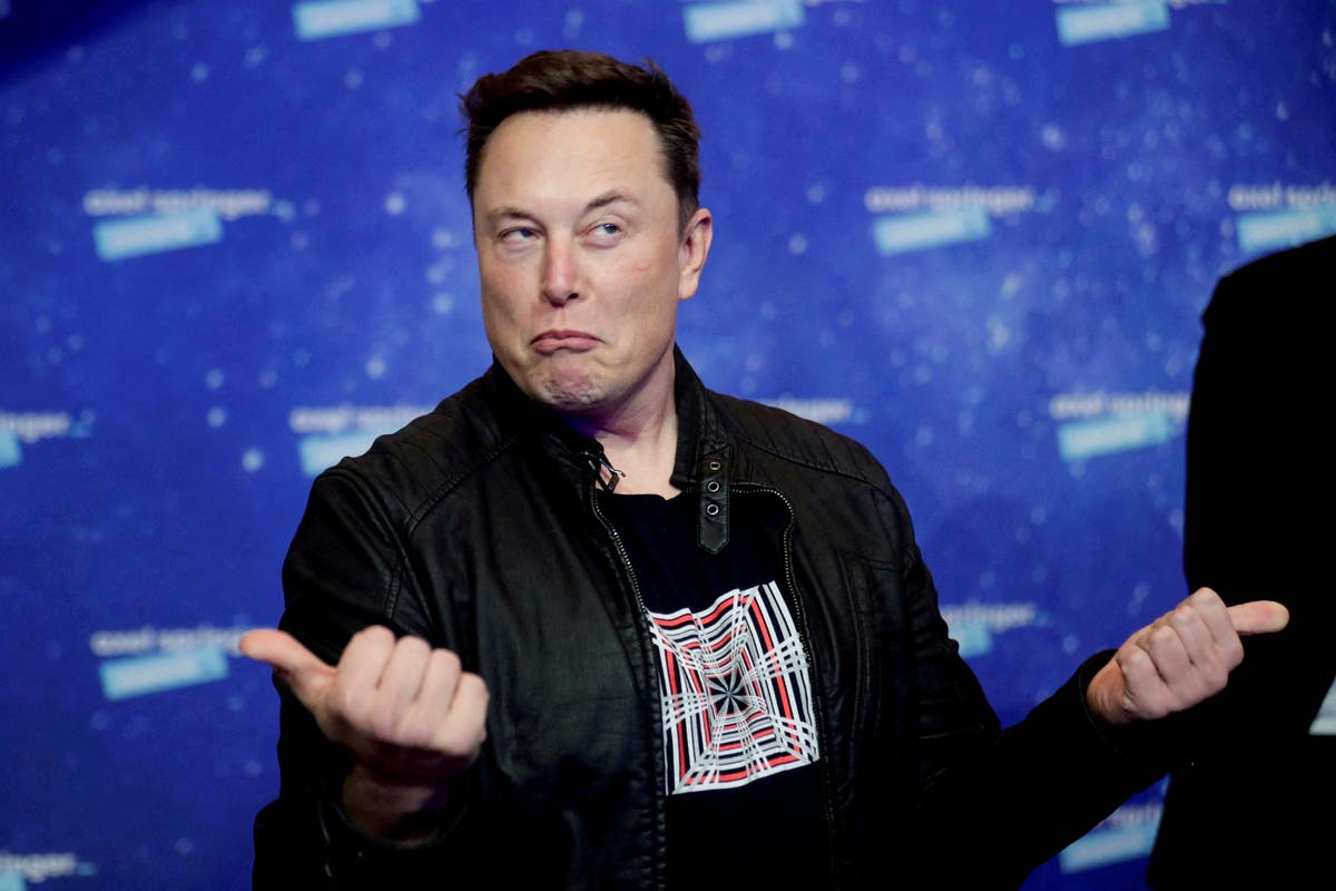 Elon Musk says ‘woke virus’ to blame for Netflix’s drop in subscribers