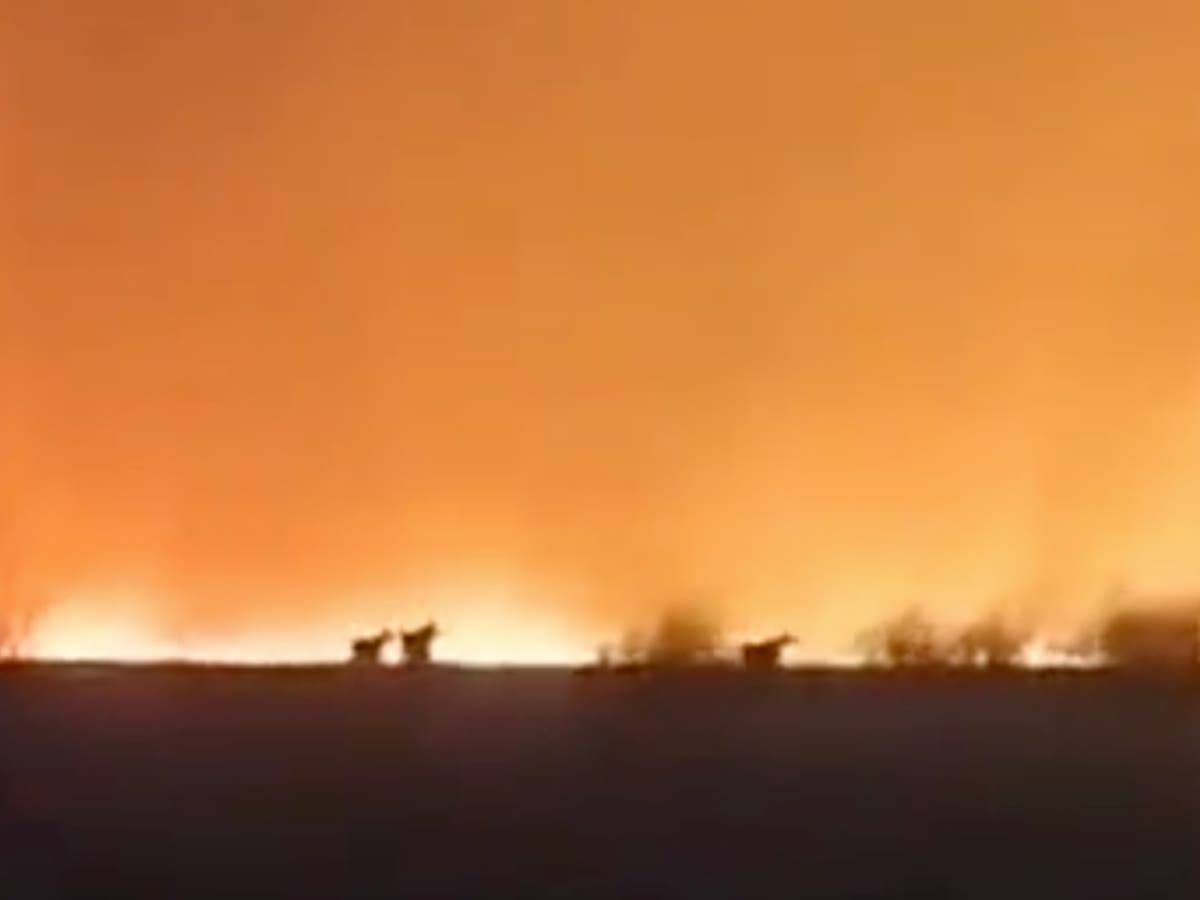 Massive wildfires raging in Russia are ‘already double last year’