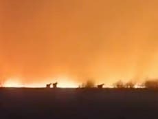 Massive wildfires raging in Russia are ‘already double last year’