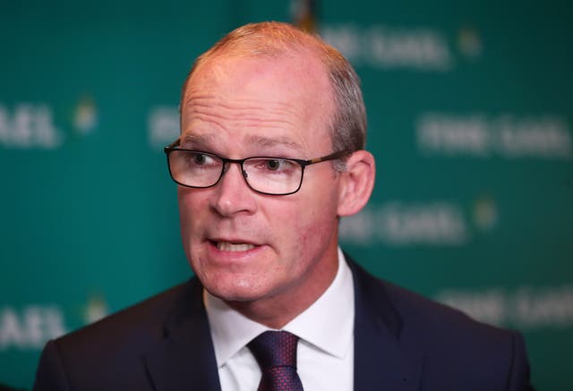 Simon Coveney addressed the UN Security Council (Niall Carson/PA)