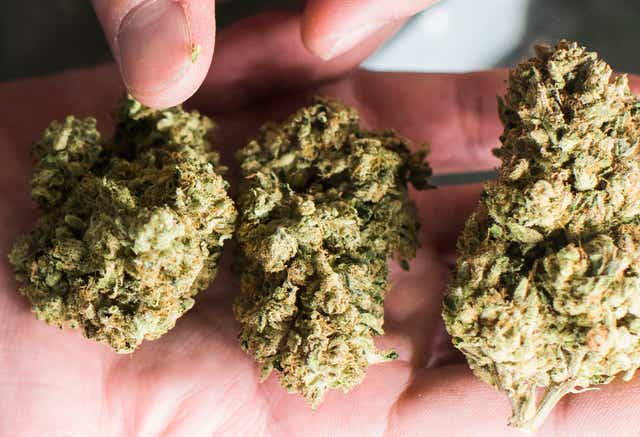 <p>There can be health benefits from cannabis liberalisation</p>