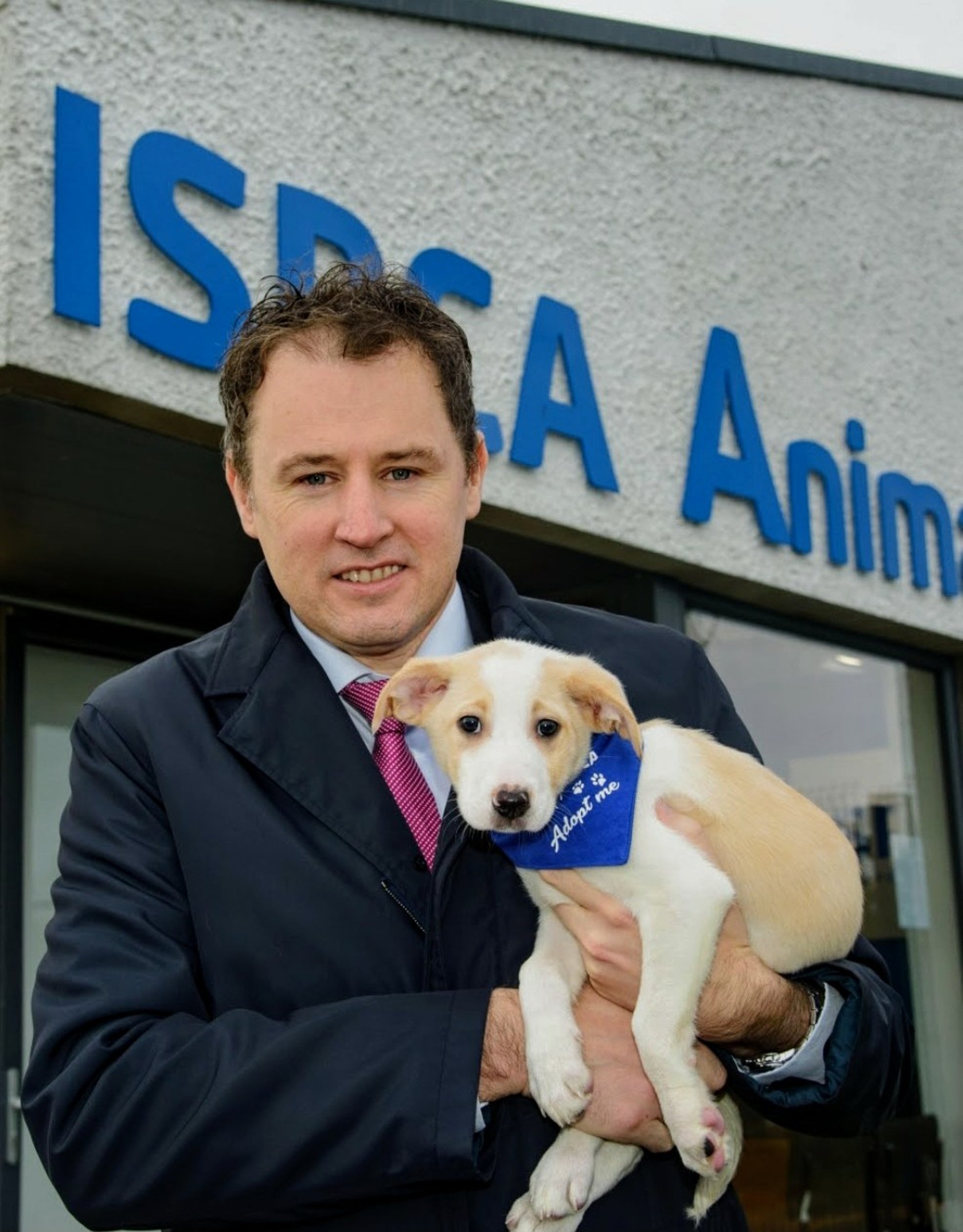 Agriculture Minister Charlie McConalogue said it is right that Ukrainians can take their animal companions with them to Ireland (Department of Agriculture/PA)