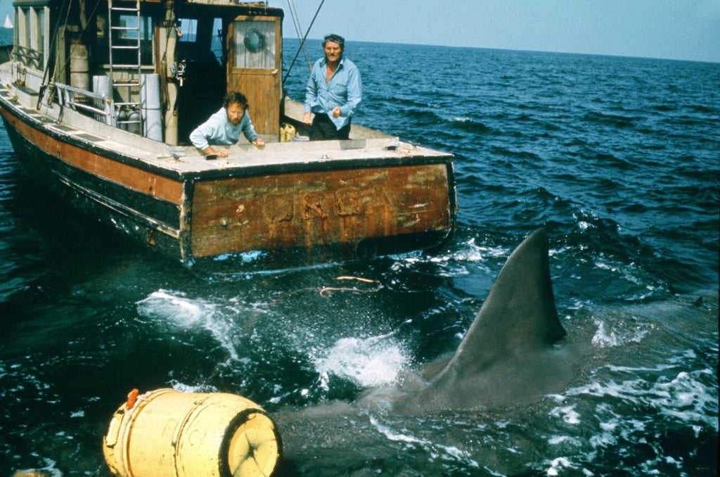 Jaws child star appointed police chief of town where movie was filmed