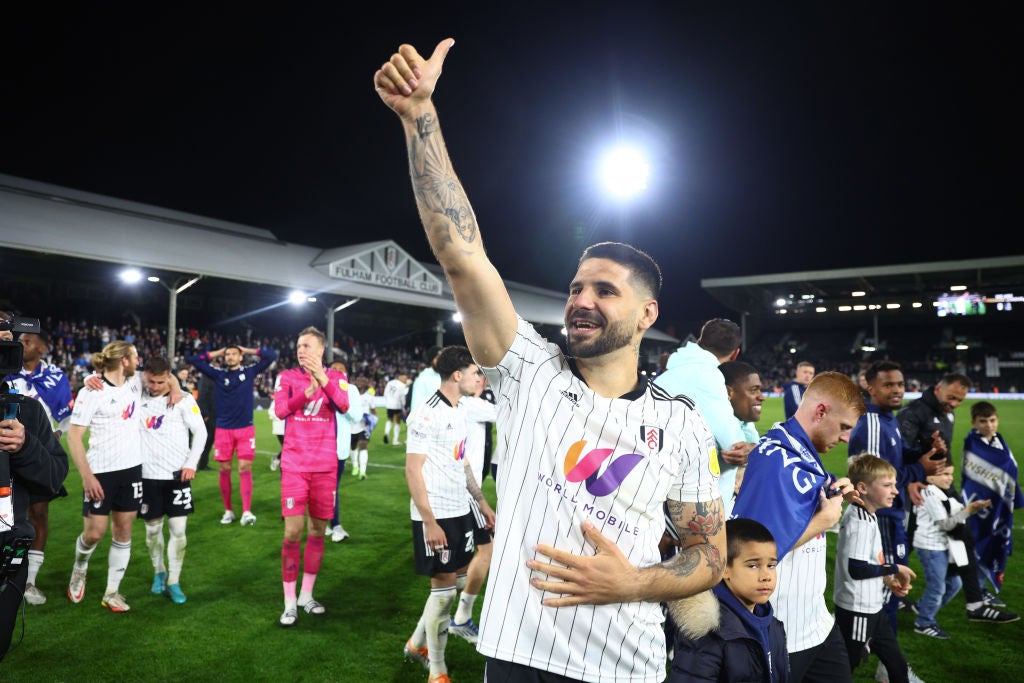 Aleksandar Mitrovic, the Championship cheat code, has again fired Fulham to promotion