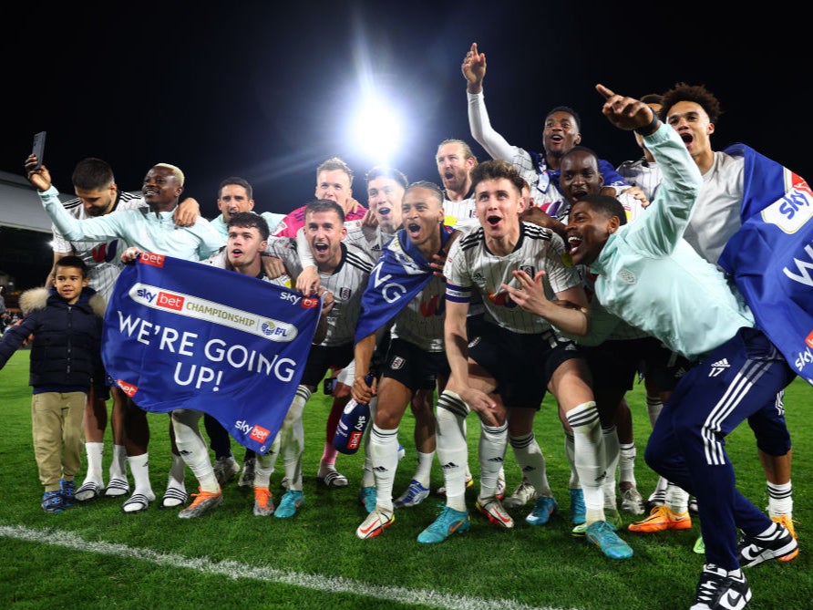 EFL Championship 2018-19: Who will get promoted to the Premier League?