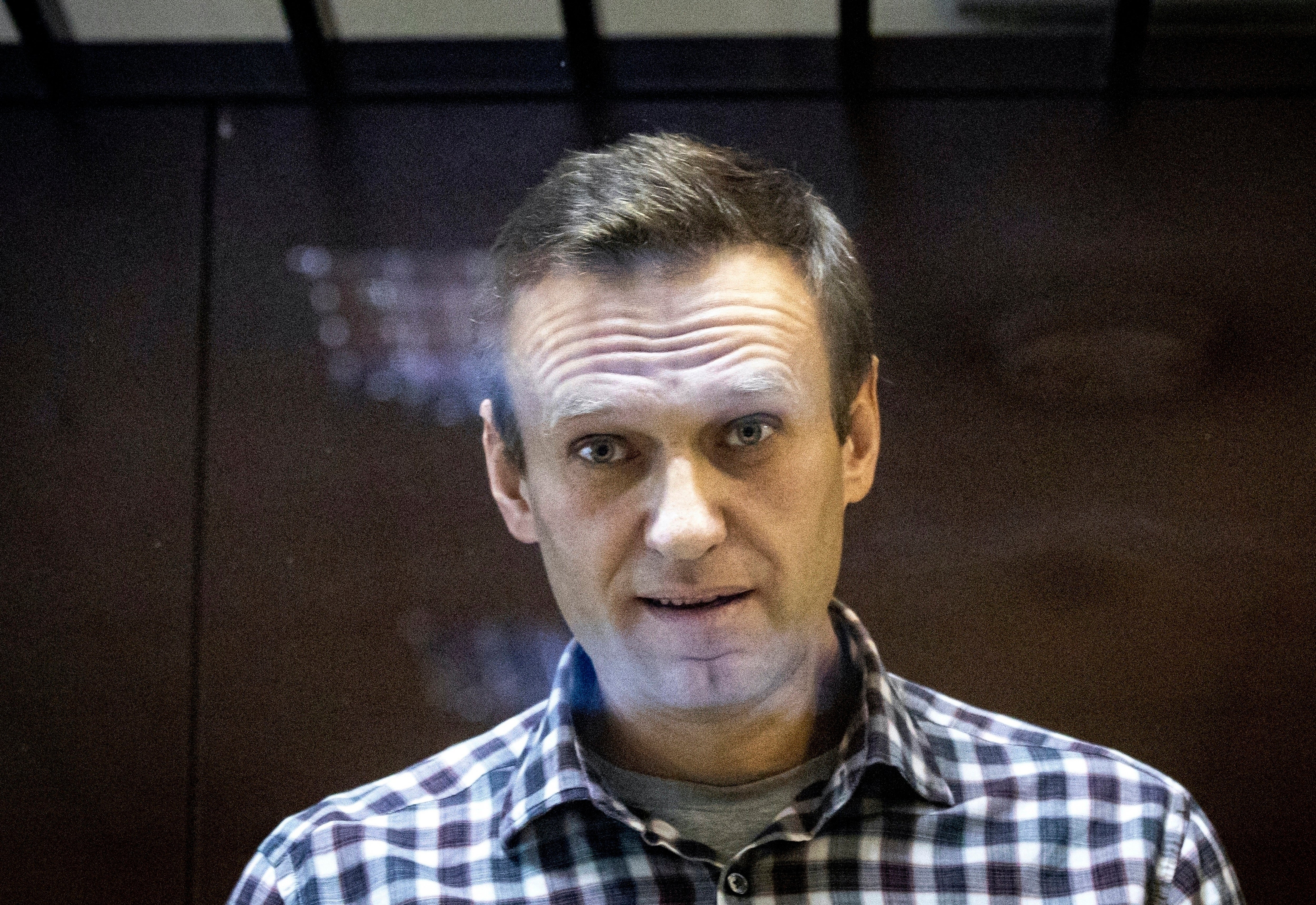 Warning: Russian opposition leader Alexei Navalny