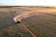 Climate crisis and agriculture halve insect populations in some countries