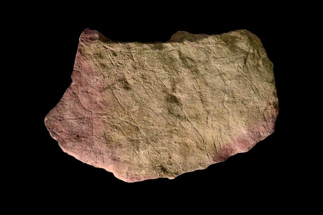 Prehistoric people created art by flickering firelight, researchers have said(Andy Needham/University of York/PA)