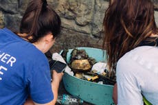 Three ways you can use people-powered data to take climate action without leaving your home