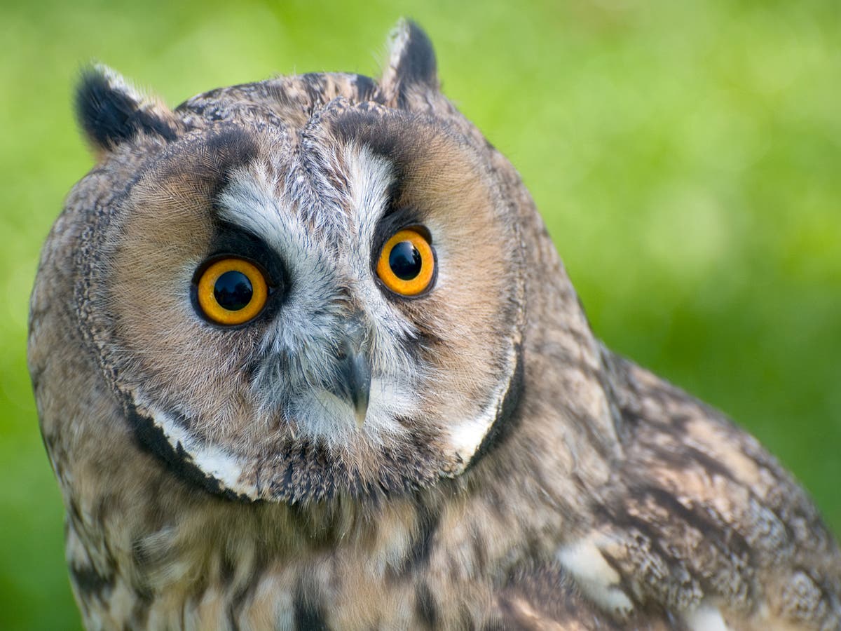 Climate change GCSE launched to teach students how to save the planet