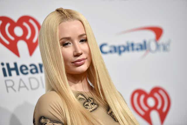 <p>Iggy Azalea warned other families from using the airlines </p>