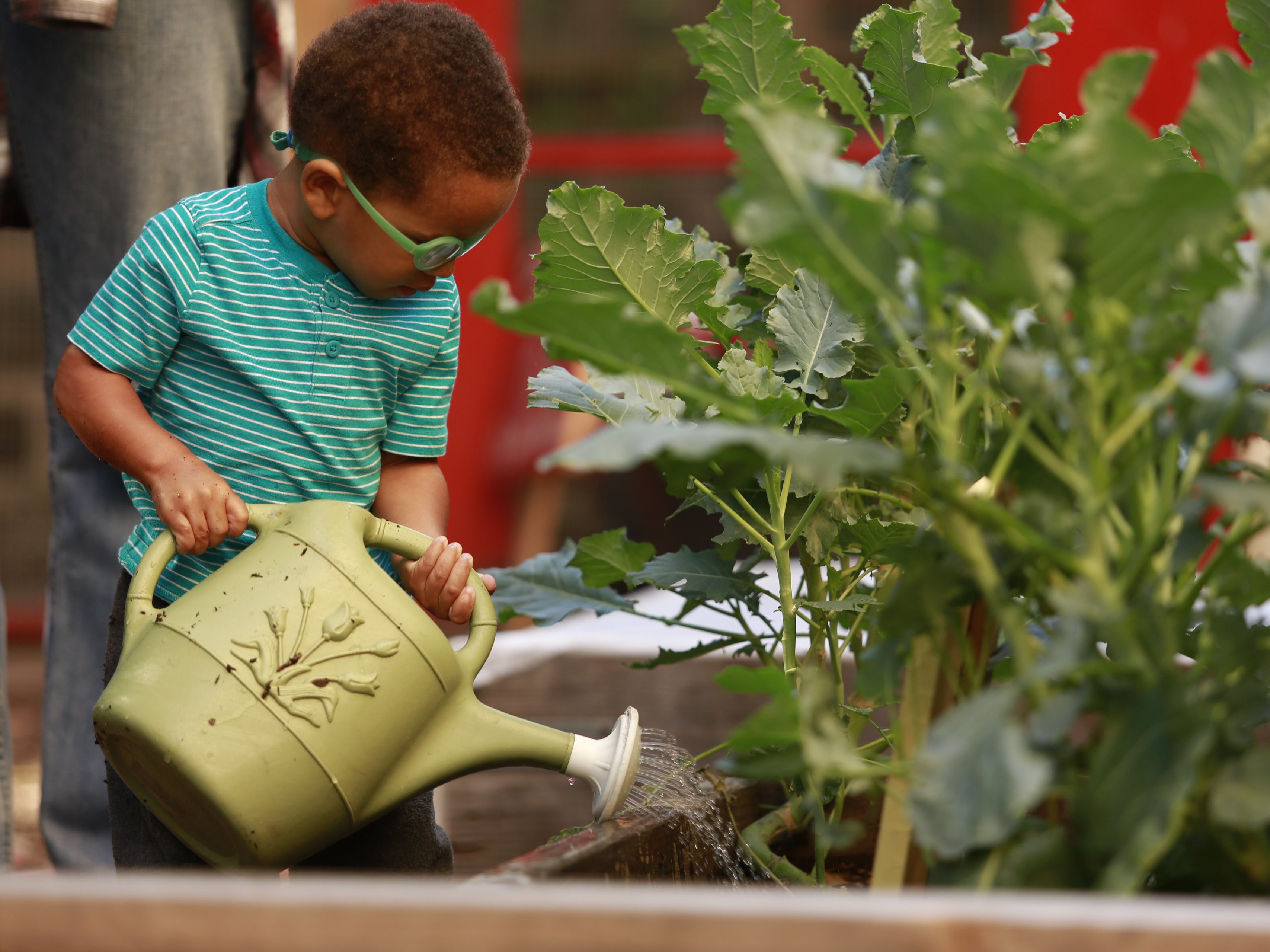 An elementary school student uses a watering can at one of Harlem Grown’s urban farms in New York City