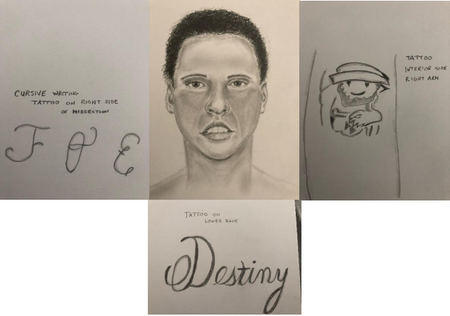 <p>Dallas police released the sketch of the woman and her tattoos after her body was found near a lake in Taxas </p>