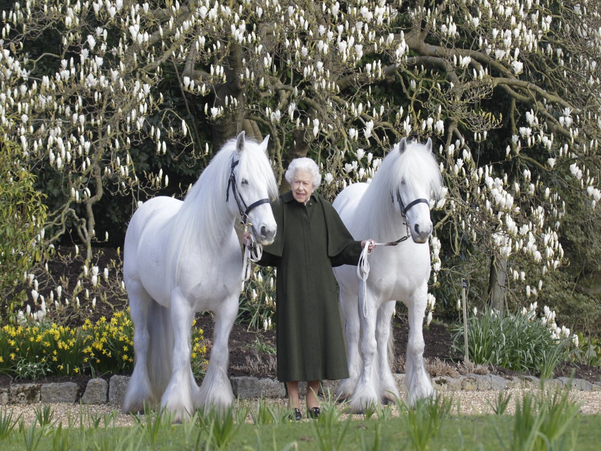 Have your cake and eat it too” - Best Birthday Wishes to Queen Elizabeth II  on her 96th Birthday! 🎂🎂🎂 #HerMajesty #ElizabethRegina