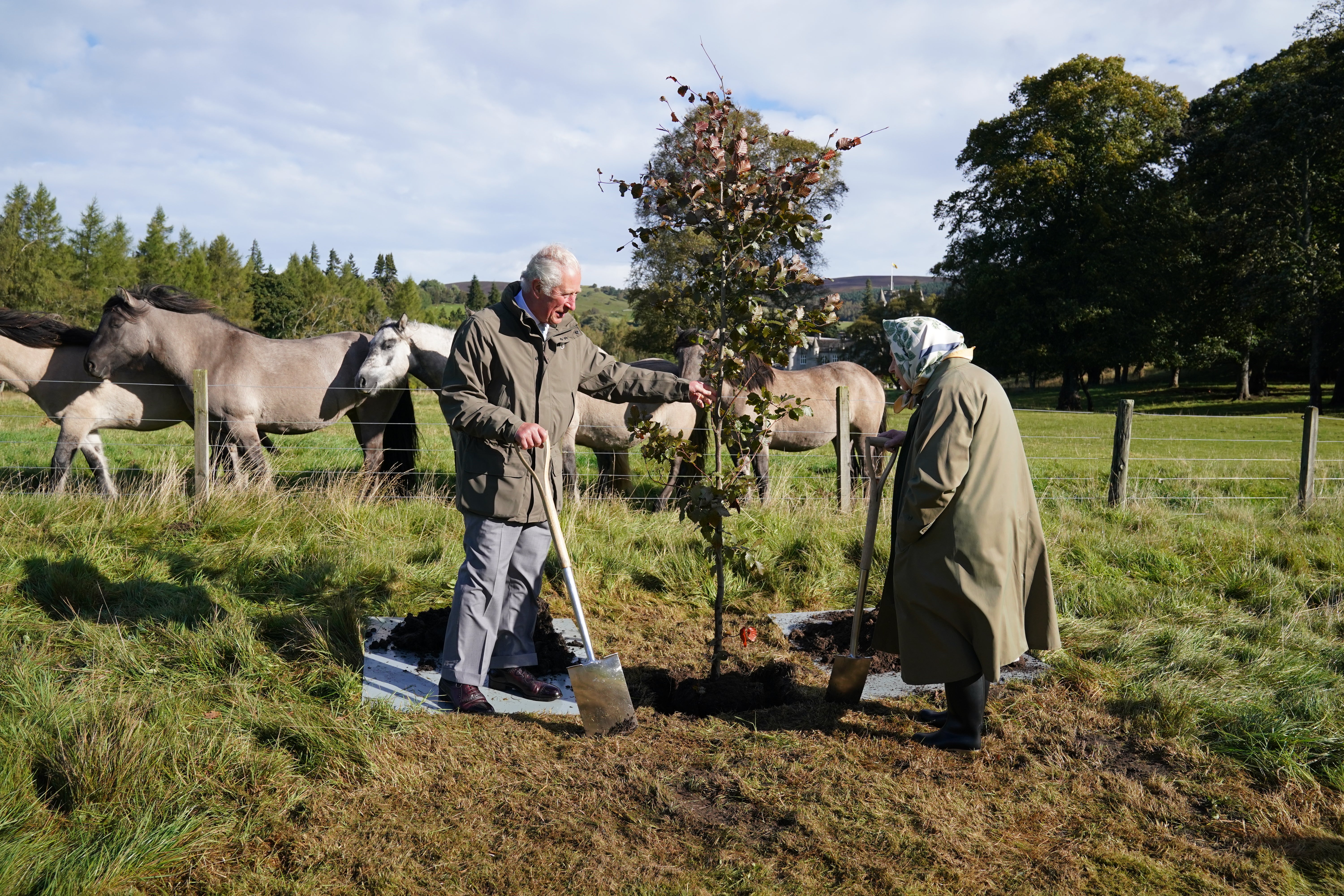 The Queen and the Prince of Wales plant a tree at the Balmoral cricket pavilion last year