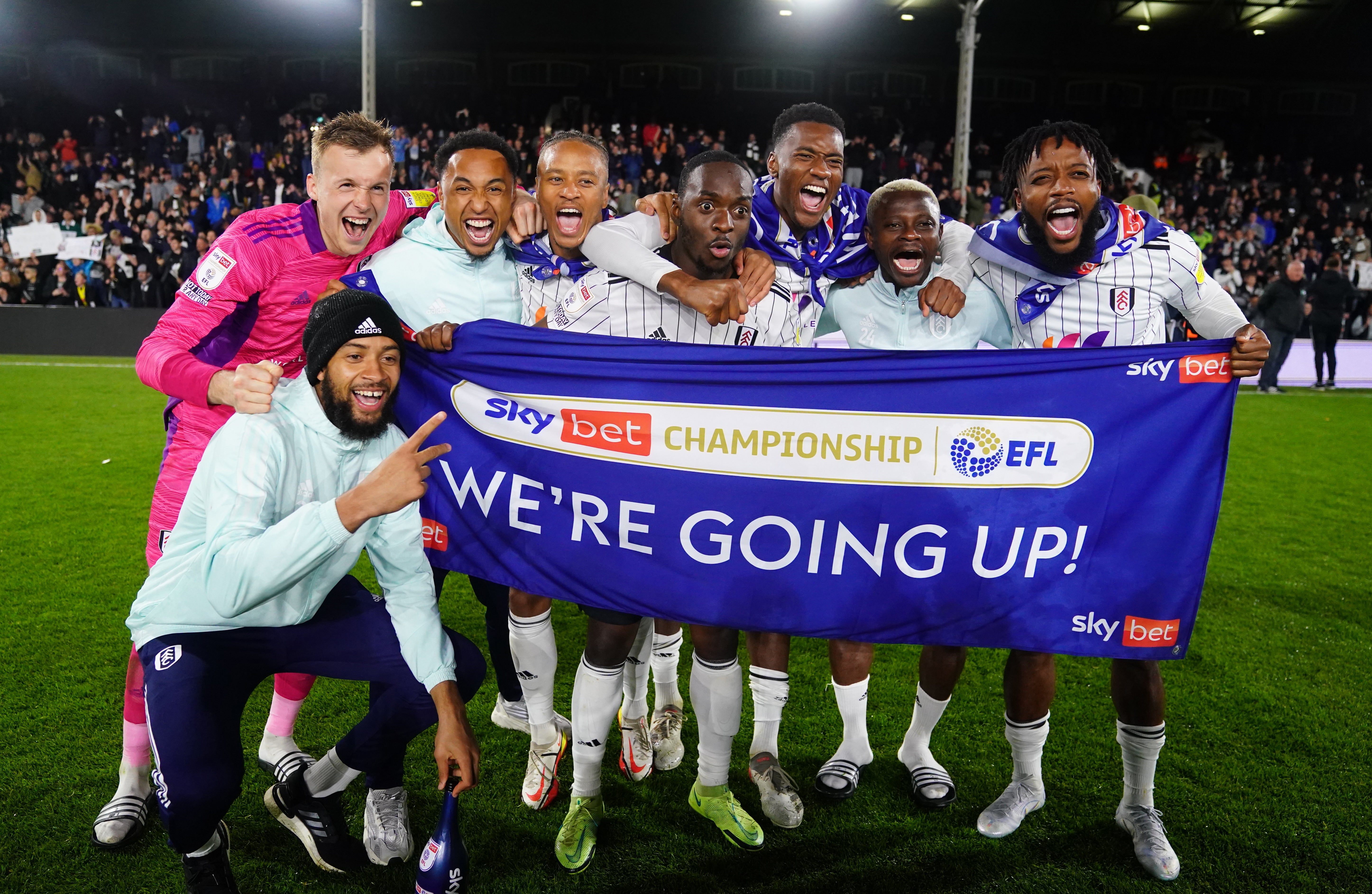 Fulham have been promoted (Adam Davy/PA)