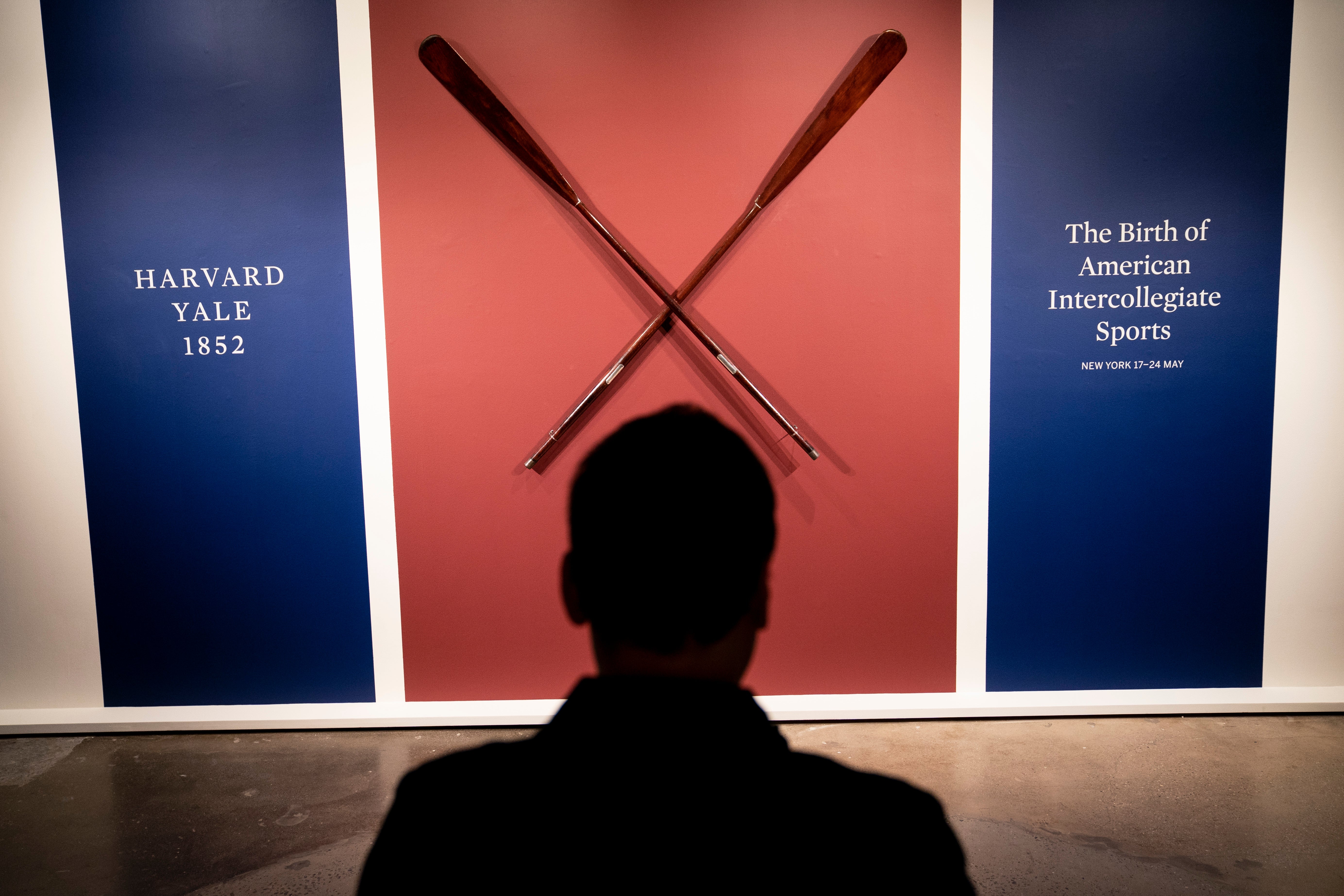 Sothey's Harvard Yale Oars