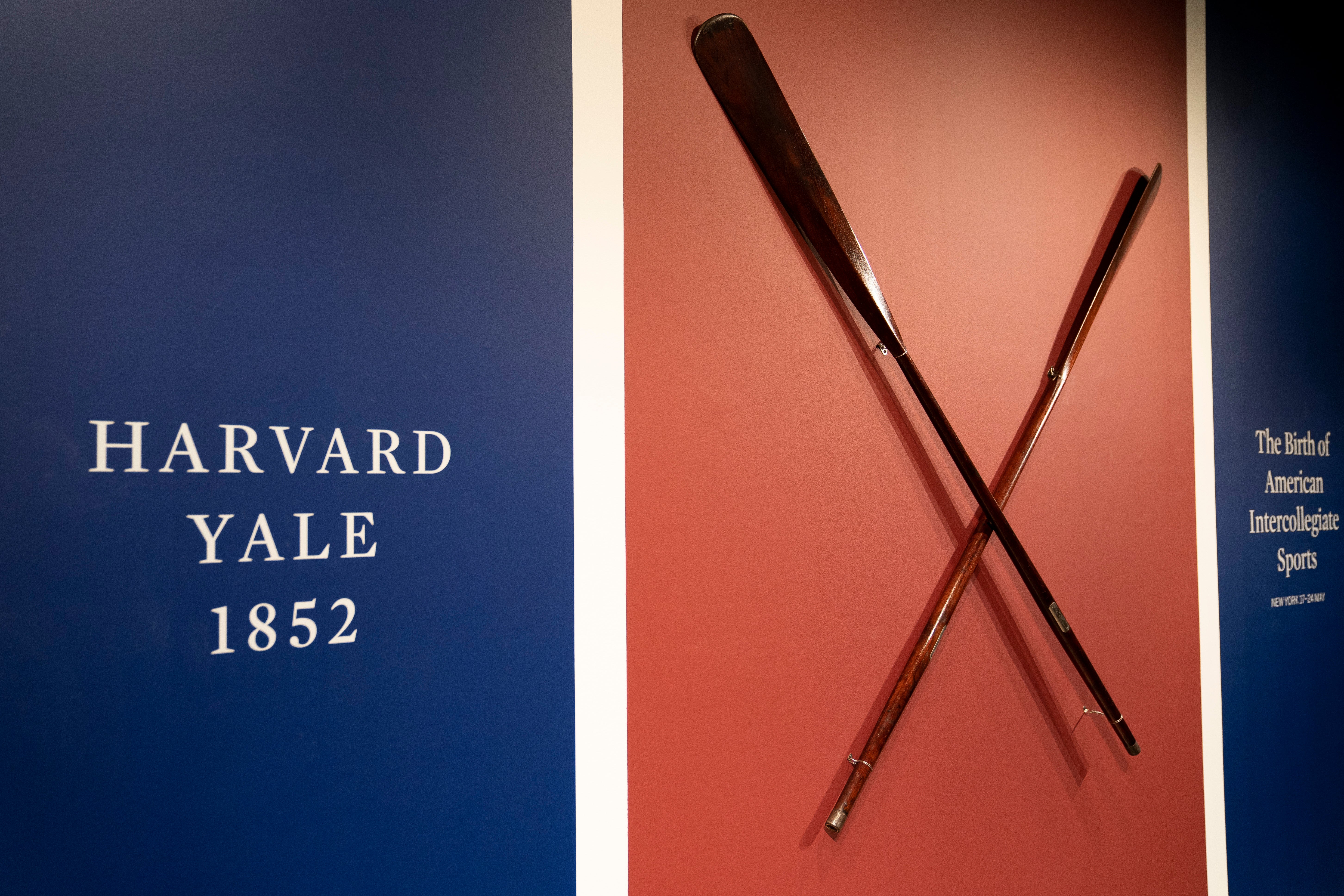 Sothey's Harvard Yale Oars