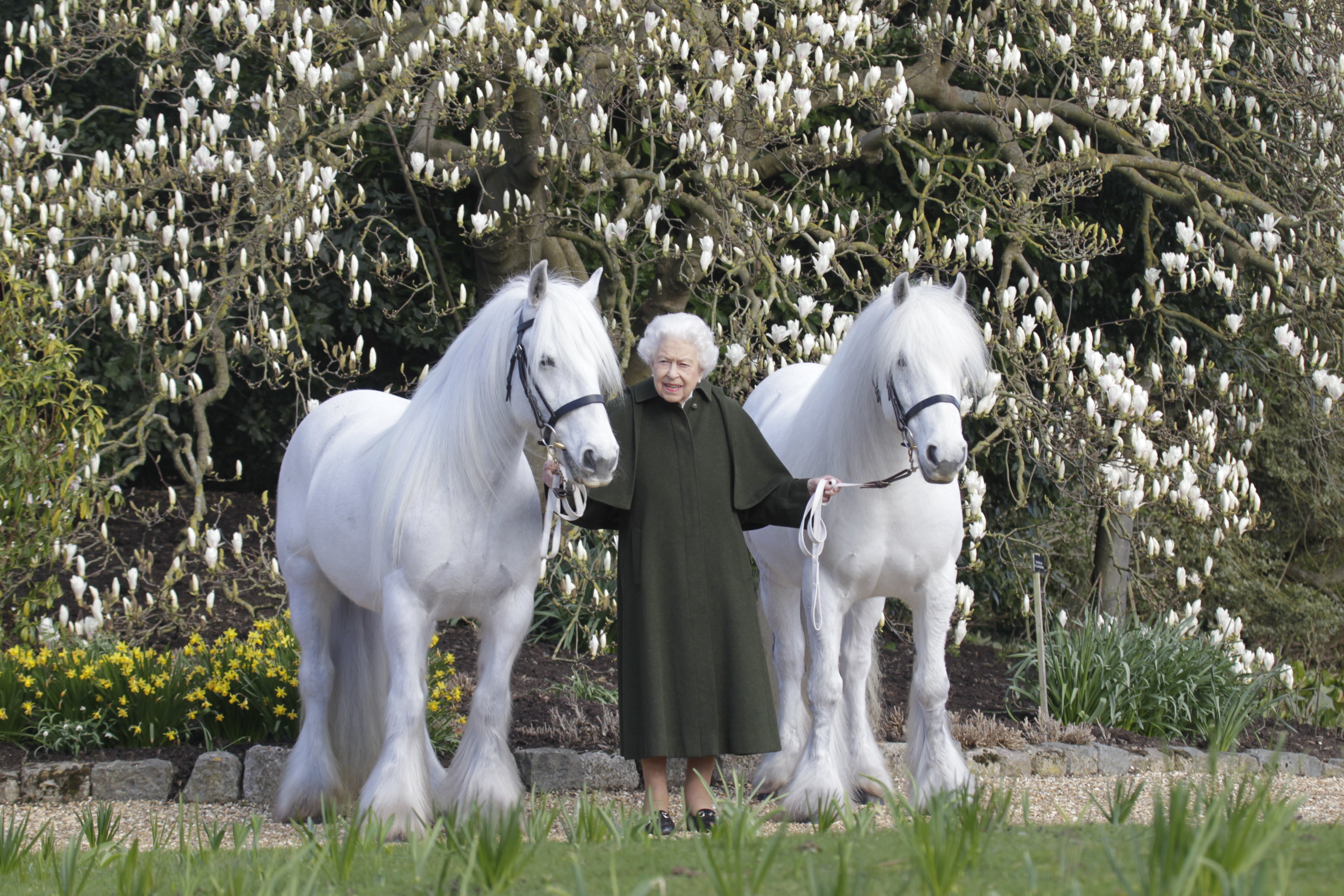 The Queen released this photo to mark her 96th birthday