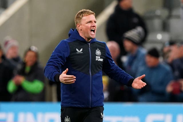 <p>Eddie Howe has led Newcastle to staying up this season</p>