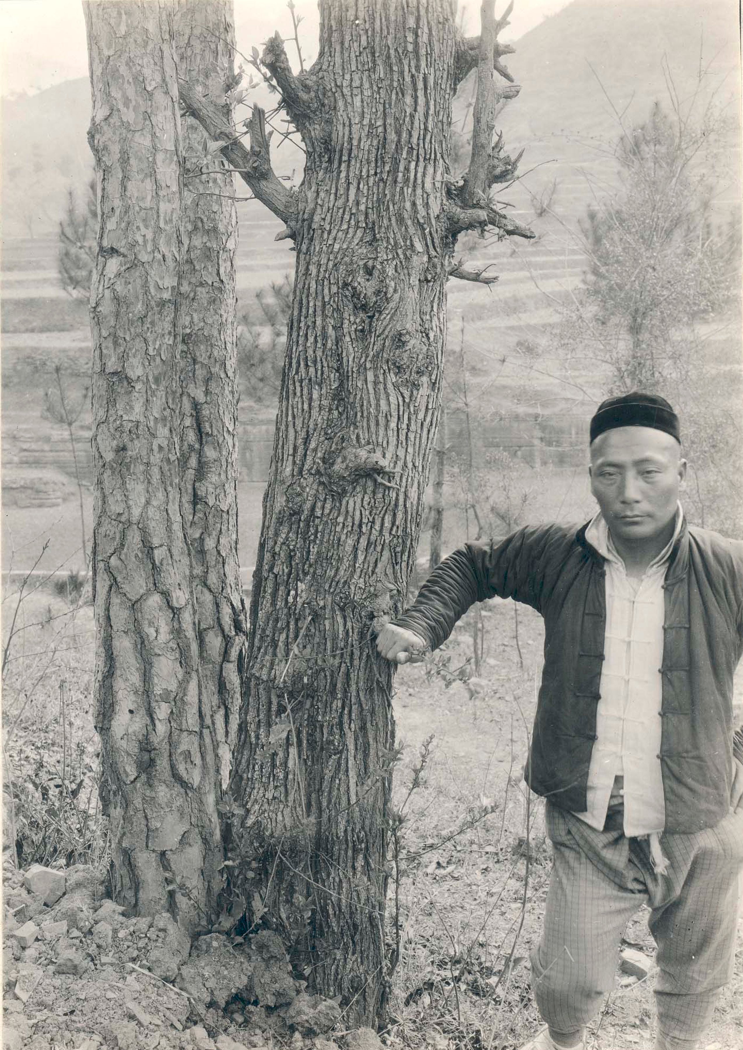 Stinky Pear Invasion