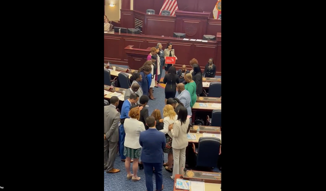 <p>Democrat Florida House members interrupt debates on Gov Ron DeSantis’s congressional redistricting plan which would axe two majority Black districts.</p>