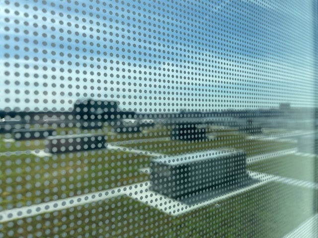 Windows at the Javits Center are now covered in a dotted pattern known as ‘fritting’ which has reduced bird collisions by 90 per cent
