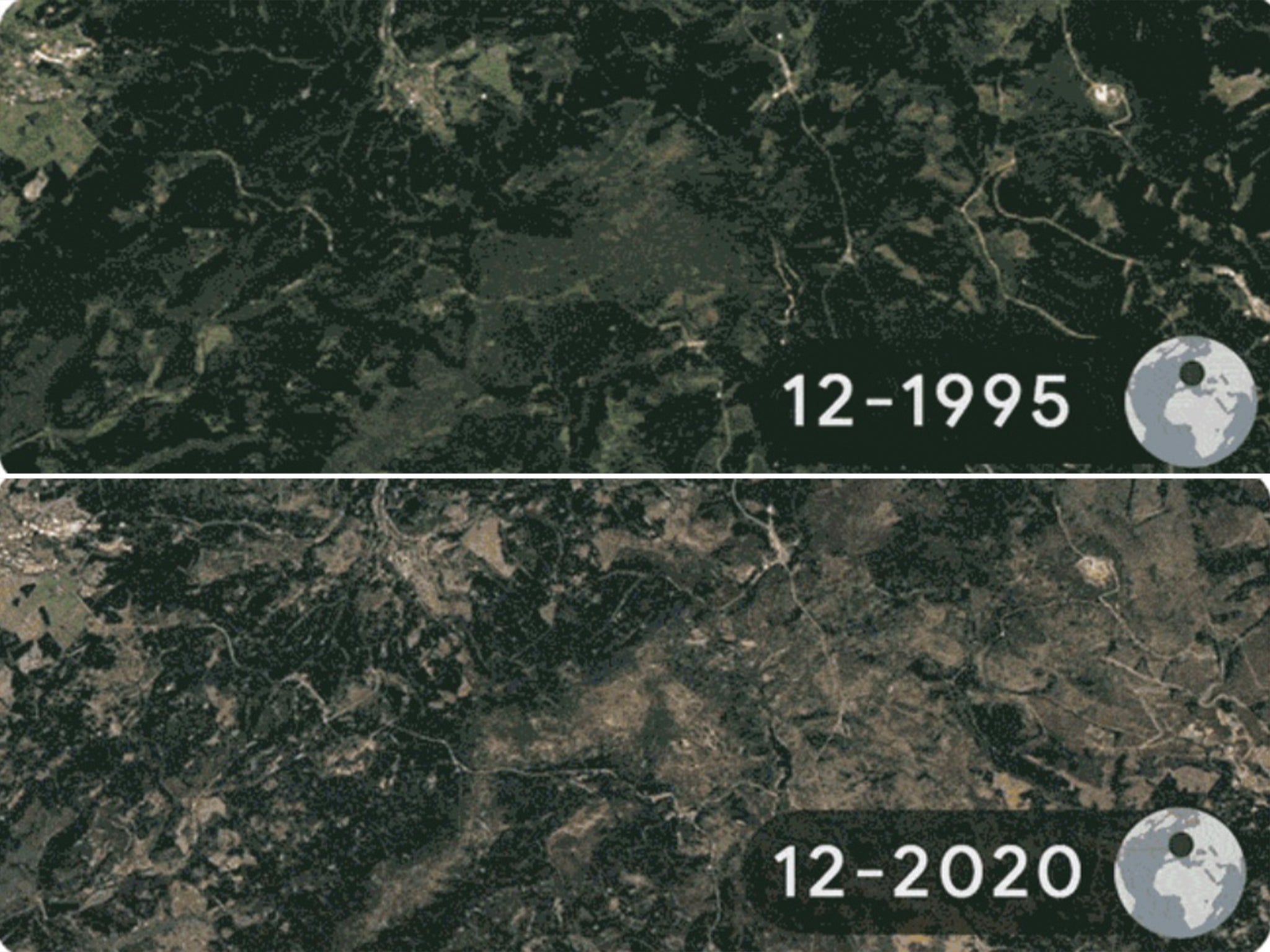 Images taken each December annually from 1995 to 2020 show deforestation in the Harz Forests in Elend, Germany