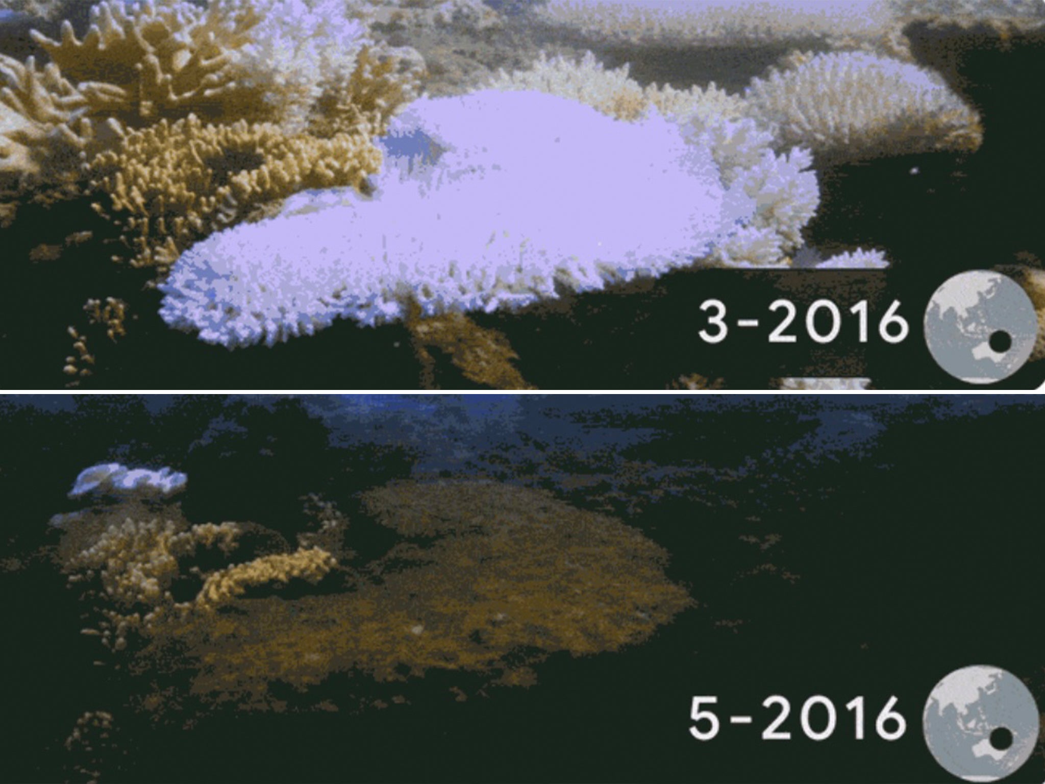 Images taken each month from March to May 2016 show coral bleaching on Lizard Island, Australia
