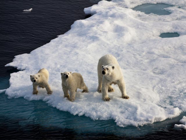 <p>Earth Day is intended to draw attention to the threats facing our planet</p>