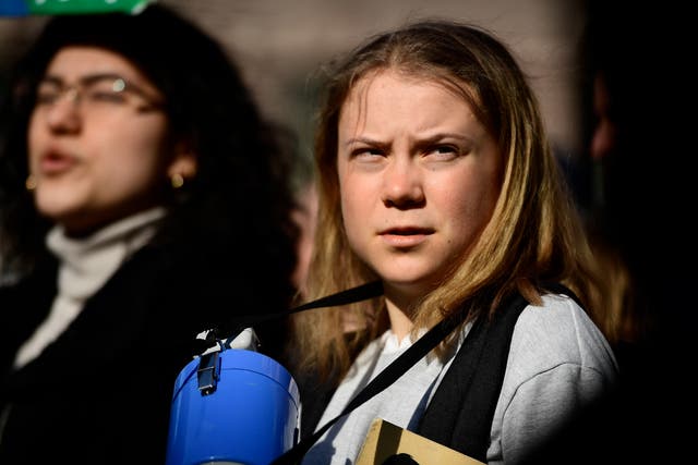<p>Greta Thunberg has hit out at people celebrating the planet on Earth Day while ‘at the same time destroying it’</p>
