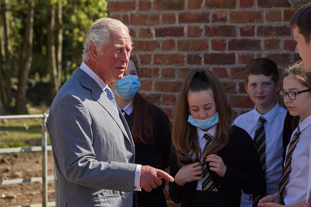 The Prince of Wales has urged children to imagine a sustainable future and sketch it so “we can help make our planet strong and healthy for generations to come” (Guy Hinks/PA)