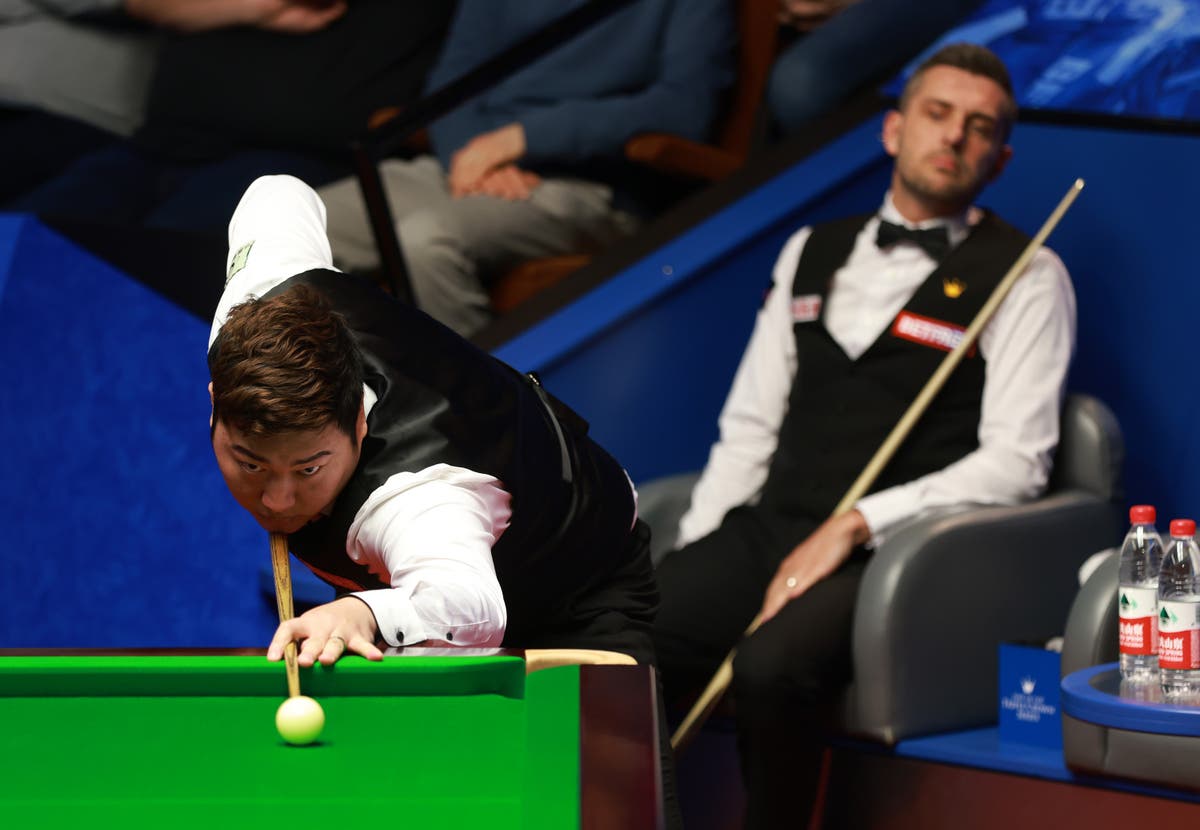 Pigeon on snooker table stops World Championship action