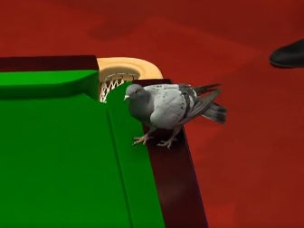 The pigeon briefly halted play at the Crucible