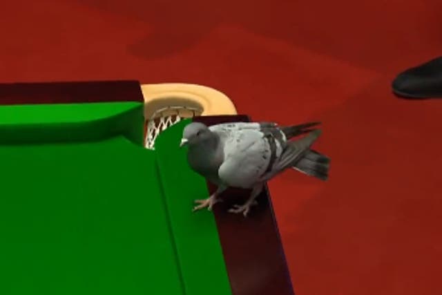 <p>The pigeon briefly halted play at the Crucible </p>