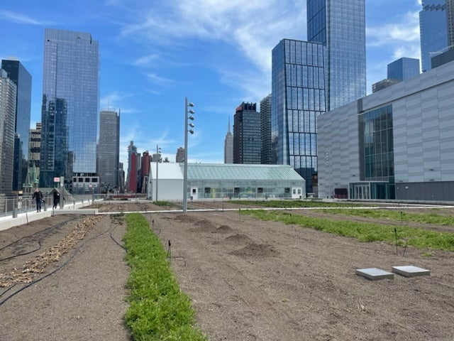 The plant beds at the Javits Center’s rooftop urban farm in Manhattan, with the Empire State Building in the distance