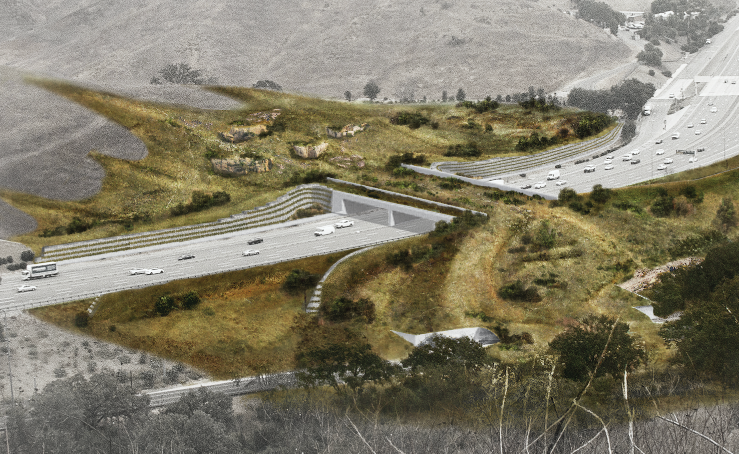 <p>A rendering of the Wallis Annenberg Wildlife Crossing spanning Highway 101 in Los Angeles County</p>