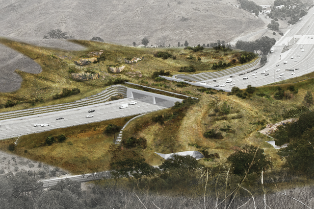 <p>A rendering of the Wallis Annenberg Wildlife Crossing spanning Highway 101 in Los Angeles County</p>
