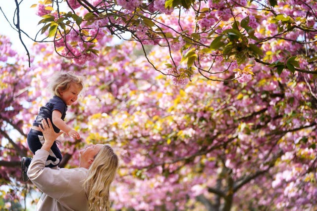 A woman lifts her child into the air under an avenue of blossom trees in Greenwich Park, London (Victoria Jones/PA)