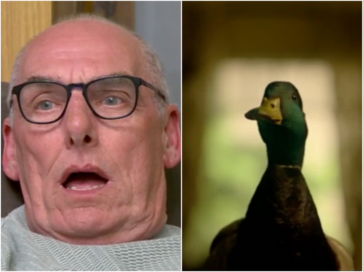 Gogglebox stars &lsquo;traumatised&rsquo; after watching explicit sex scene involving a duck: &lsquo;There&rsquo;s feathers everywhere!&rsquo;