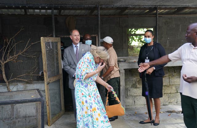 The Earl and the Countess of Wessex with St Vincent’s national bird, the Amazona guildingii after it nearly knocked her sunglasses at the Botanical Gardens in St Vincent and the Grenadines, as they continue their visit to the Caribbean, to mark the Queen’s Platinum Jubilee (Joe Giddens/PA)