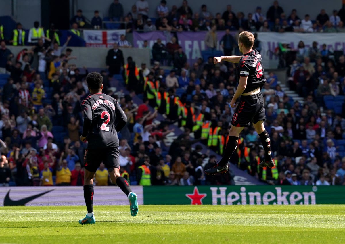 James Ward-Prowse scores two stunning strikes as Southampton claim Brighton draw James Ward-Prowse scores two stunning strikes as Southampton claim Brighton draw